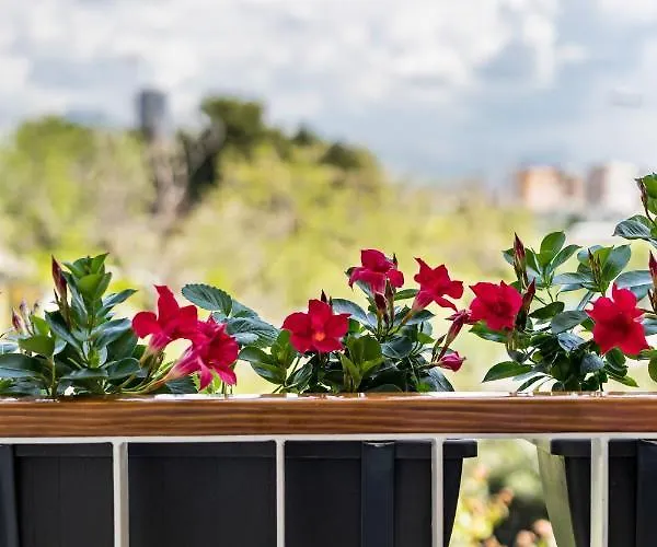 Apartment Exquisite Couples Delight With Free Bikes & Parking