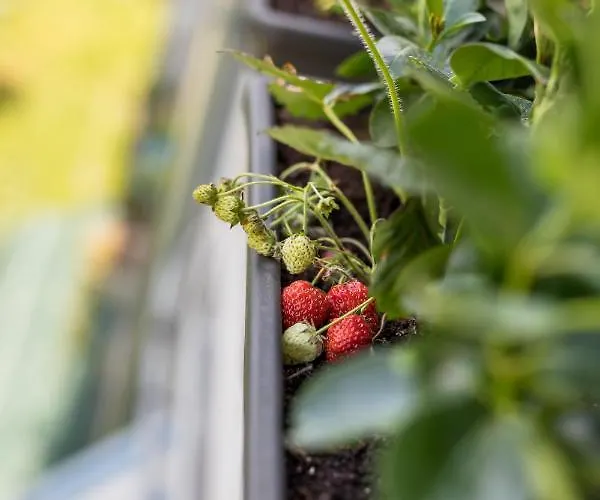 Exquisite Couples Delight With Free Bikes & Parking *