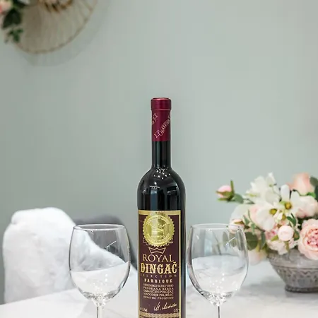 Exquisite Couples Delight With Free Bikes & Parking Apartment